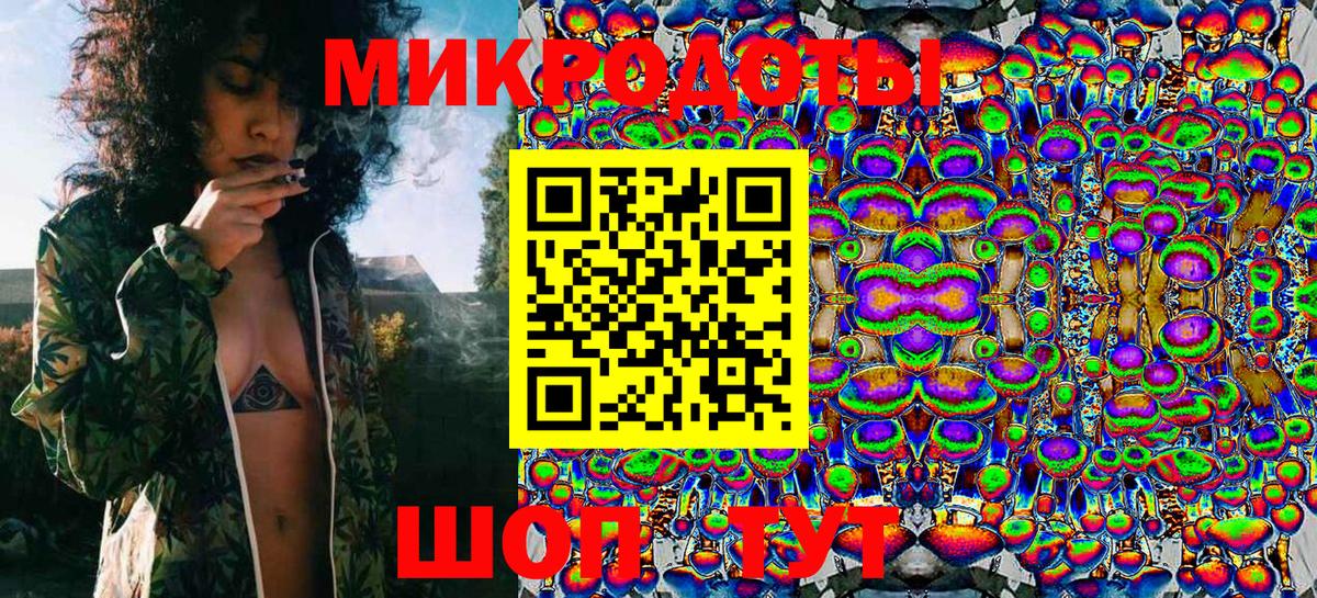 Галлюциногенные грибы Psilocybe Печора
